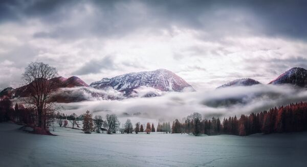 Bức ảnh Morning Fog (Sương sớm) của nhiếp ảnh gia David Hochleitner, giải nhất trong hạng mục Infrared Landscape (Phong cảnh hồng ngoại) của cuộc thi ảnh Life in Another Light - Sputnik Việt Nam