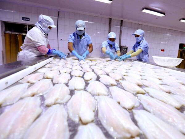 Giáo sư Trung Quốc: Việt Nam hưởng lợi lớn trong thương chiến Mỹ-Trung, bứt phá lập kỉ lục - Sputnik Việt Nam