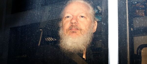  Julian Assange - Sputnik Việt Nam