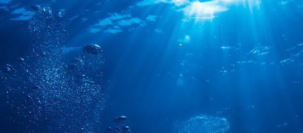 Tìm thấy vi sinh vật ăn dầu mỏ trong vũng Mariana - Sputnik Việt Nam