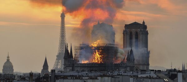 Nhà thờ Đức Bà Paris  - Sputnik Việt Nam