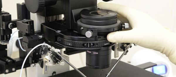 Thụ tinh nhân tạo Thụ tinh nhân tạo - Sputnik Việt Nam