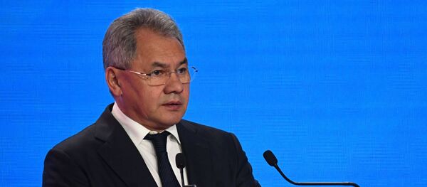 Sergey Shoigu  - Sputnik Việt Nam