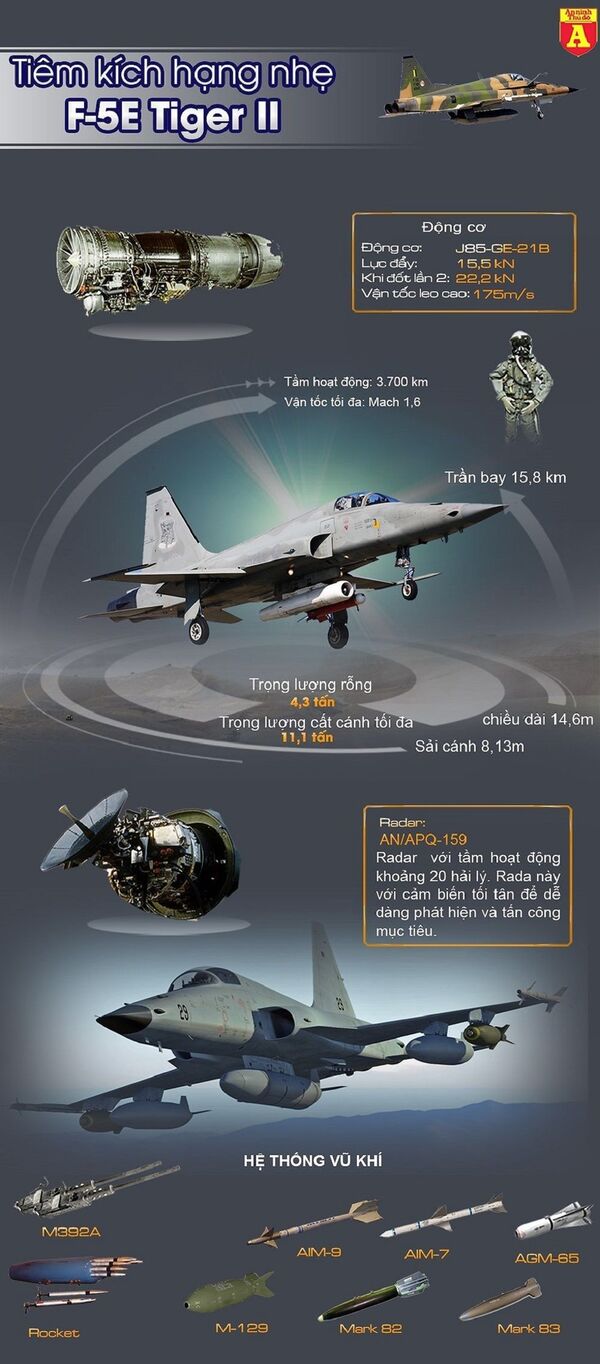 Hổ bay F-5E Tiger II: Chiến lợi phẩm giá trị nhất Việt Nam thu sau năm 1975 - Sputnik Việt Nam