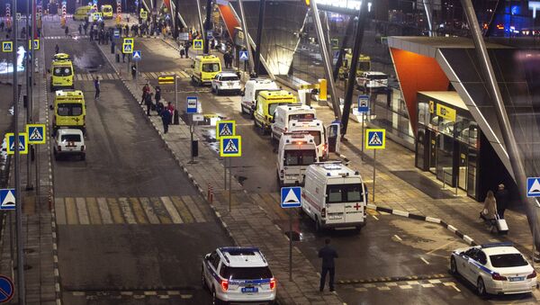 Sân bay Sheremetyevo  - Sputnik Việt Nam