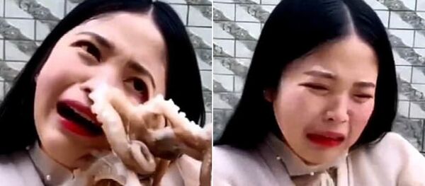 Cố ăn bạch tuộc sống, nữ streamer Trung Quốc trả giá đắt Cố ăn bạch tuộc sống, nữ streamer Trung Quốc trả giá đắt - Sputnik Việt Nam