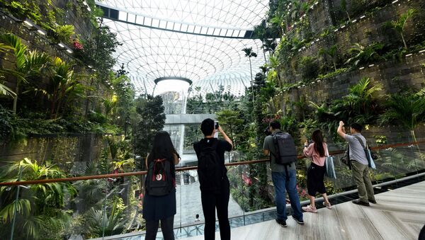 Sân bay quốc tế Changi ở Singapore - Sputnik Việt Nam