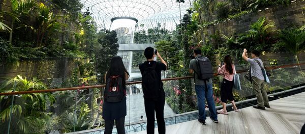 Sân bay quốc tế Changi ở Singapore - Sputnik Việt Nam