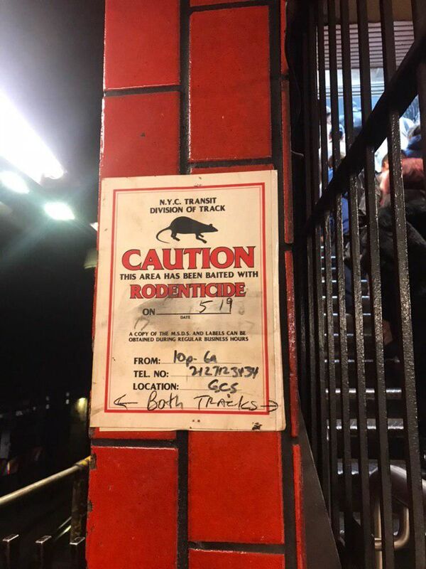 Toa dành cho phụ nữ; chuột và rèm cửa – tàu điện ngầm ở nước ngoài khiến du khách sửng sốt - Sputnik Việt Nam