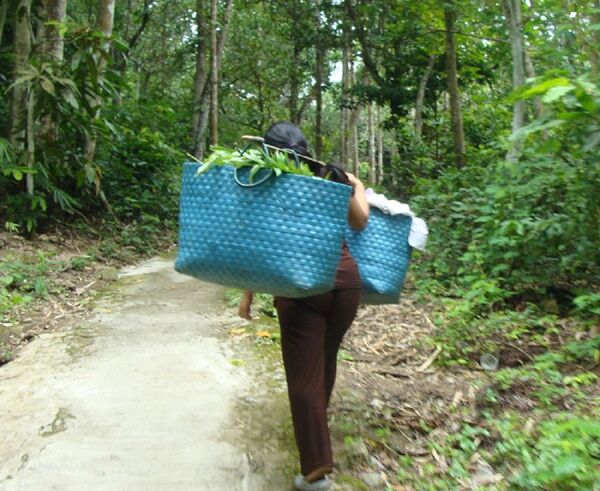 Rắn khổng lồ tu luyện thành tinh trên núi Cấm và những cuộc chạm trán kinh hoàng - Sputnik Việt Nam