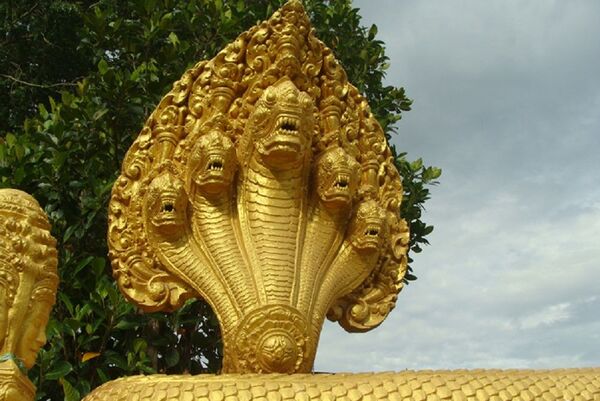 Rắn khổng lồ tu luyện thành tinh trên núi Cấm và những cuộc chạm trán kinh hoàng - Sputnik Việt Nam