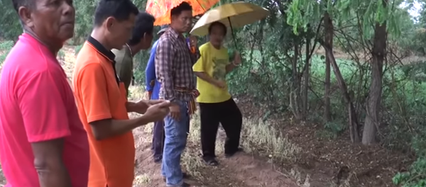 Chú chó Thái Lan cứu em bé bị chôn sống - Sputnik Việt Nam