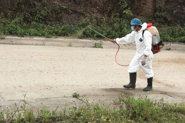 Việt Nam sản xuất thành công vắcxin phòng dịch tả lợn châu Phi - Sputnik Việt Nam