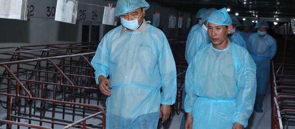 Thủ tướng Nguyễn Xuân Phúc đi kiểm tra tình hình phòng, chống dịch tả lợn Châu Phi xã Hợp tác xã nông nghiệp hữu cơ Tiên Dương.  - Sputnik Việt Nam