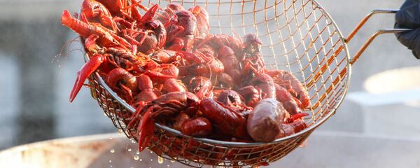 tôm hùm tôm hùm - Sputnik Việt Nam