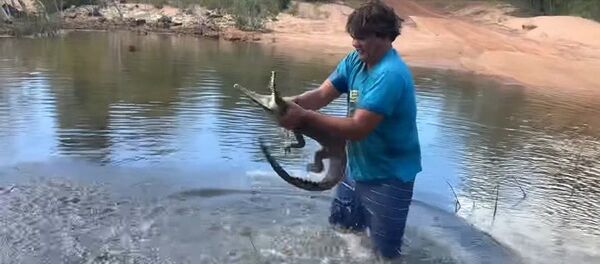  Người đàn ông Úc tay không bắt... cá sấu - Sputnik Việt Nam