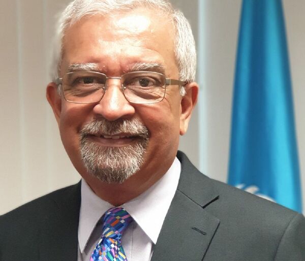 Việt Nam có thể giúp Hội đồng Bảo an Liên Hợp Quốc hàn gắn chia rẽ - Sputnik Việt Nam