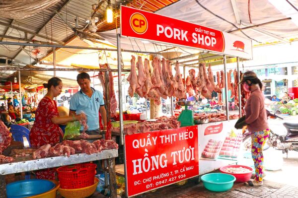 Hiệu ứng thua lỗ dây chuyền từ dịch tả lợn ở Việt Nam Hiệu ứng thua lỗ dây chuyền từ dịch tả lợn ở Việt Nam - Sputnik Việt Nam