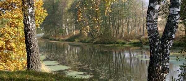 Khu vực Matxcơva Khu vực Matxcơva - Sputnik Việt Nam