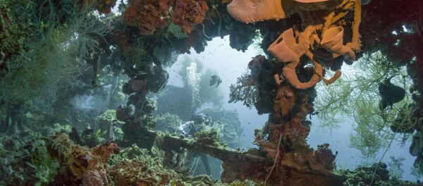 Tàu chở dầu Nhật Bản Shinkoku Maru chìm dưới đáy đại dương Tàu chở dầu Nhật Bản Shinkoku Maru chìm dưới đáy đại dương - Sputnik Việt Nam