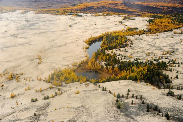 Quang cảnh bãi cát Chara trong thung lũng Chara thuộc vùng Zabaykalsky Quang cảnh bãi cát Chara trong thung lũng Chara thuộc vùng Zabaykalsky - Sputnik Việt Nam
