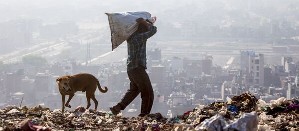 Người đàn ông chọn rác để tái chế ở New Delhi, Ấn Độ - Sputnik Việt Nam