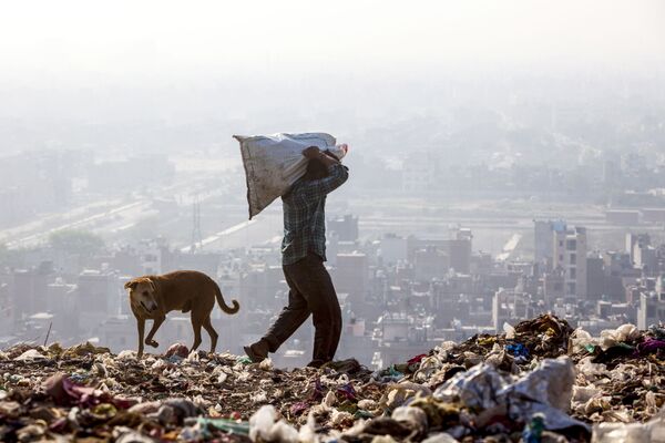 Người đàn ông chọn rác để tái chế ở New Delhi, Ấn Độ - Sputnik Việt Nam