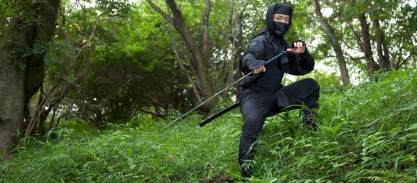 Ninja Nhật Bản - Sputnik Việt Nam