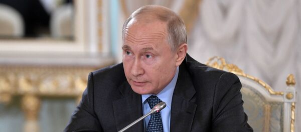 Tổng thống LB Nga Vladimir Putin tại SPIEF-2019  - Sputnik Việt Nam