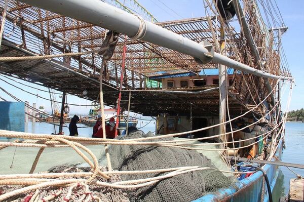 Ngư dân Quảng Nam nói tàu Trung Quốc cướp trắng trợn 2 tấn mực giữa ban ngày - Sputnik Việt Nam