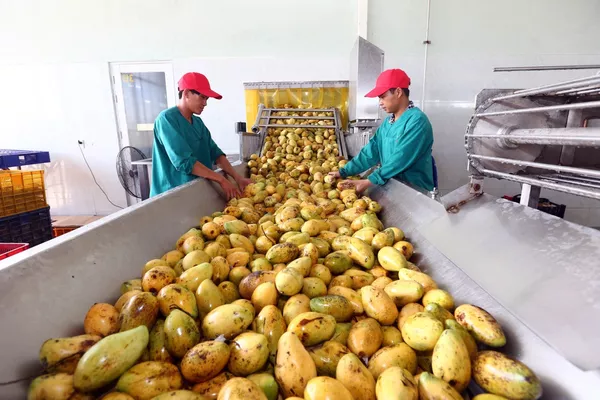 Lý do Việt Nam không thể thay thế Trung Quốc trong chuỗi cung ứng toàn cầu Lý do Việt Nam không thể thay thế Trung Quốc trong chuỗi cung ứng toàn cầu - Sputnik Việt Nam