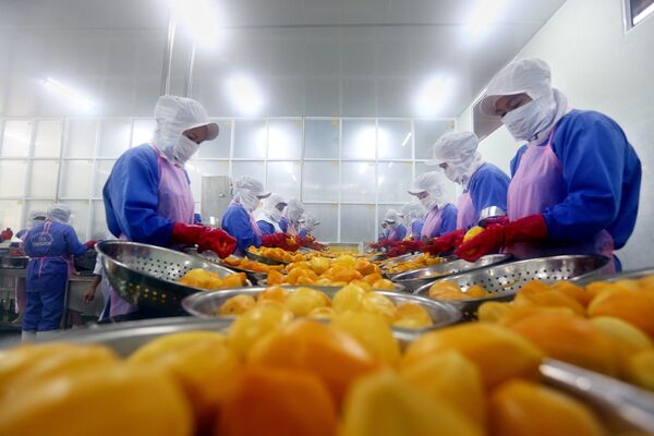 Nền kinh tế Việt Nam “chạy” đúng kịch bản Nền kinh tế Việt Nam “chạy” đúng kịch bản - Sputnik Việt Nam