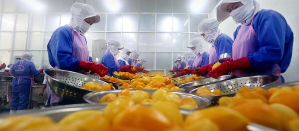 Dây chuyền chế biến, sơ chế hoa quả xuất khẩu tại Tổ hợp sản xuất và chế biến hoa quả xuất khẩu của Nafoods.  - Sputnik Việt Nam