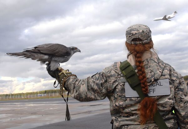 Khởi nghiệp Italy: Hệ thống đầu tiên trên thế giới cứu máy bay khỏi va chạm với chim - Sputnik Việt Nam