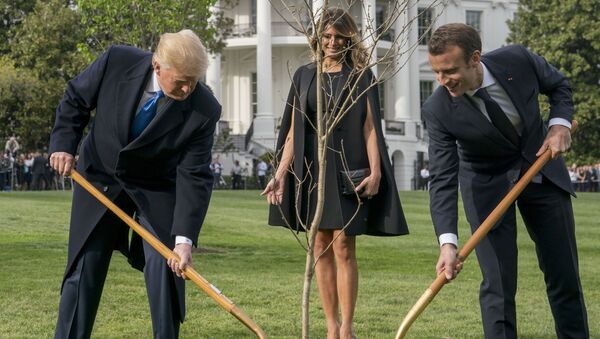 Cây sồi của tình hữu nghị giữa hai ông Macron và Trump  - Sputnik Việt Nam