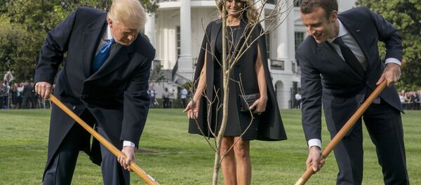 Cây sồi của tình hữu nghị giữa hai ông Macron và Trump Cây sồi của tình hữu nghị giữa hai ông Macron và Trump - Sputnik Việt Nam