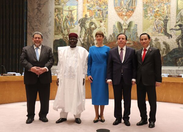 Thắng kỷ lục tại Hội đồng Bảo an LHQ: Uy tín, vị thế mới của Việt Nam - Sputnik Việt Nam