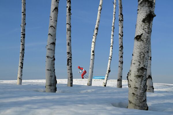 Ảnh  Lonely Olympics của nhiếp ảnh gia Nga Alexei Filippov là người vào chung kết trong đề cử “Thể thao, sê-ri” Cuộc thi phóng viên ảnh năm 2019  mang tên Andrei Stenin - Sputnik Việt Nam