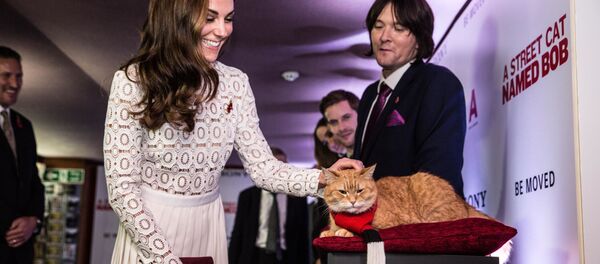 Nữ công tước xứ Cambridge Kate Middleton Nữ công tước xứ Cambridge Kate Middleton - Sputnik Việt Nam