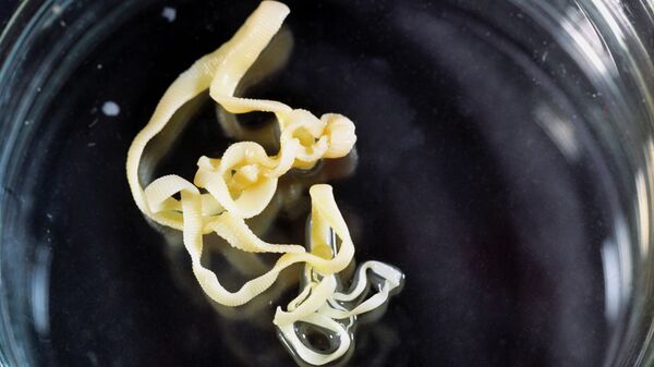   Một phần ba dân số Campuchia bị nhiễm giun lươn - Sputnik Việt Nam