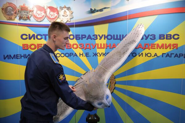 Máy bay không người lái có hình dạng cú Bắc Cực được giới thiệu tại Diễn đàn Army-2019 - Sputnik Việt Nam