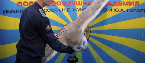 Máy bay không người lái có hình dạng cú Bắc Cực Máy bay không người lái có hình dạng cú Bắc Cực - Sputnik Việt Nam