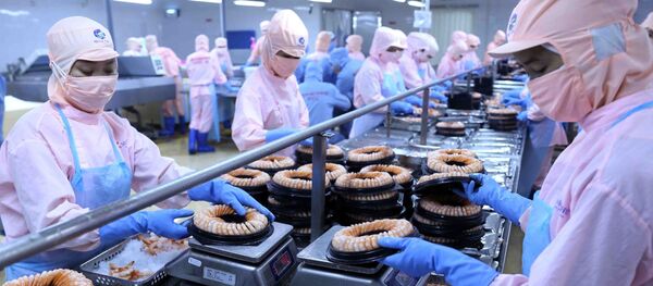 Dây chuyền chế biến sản phẩm tôm đông lạnh xuất khẩu tại nhà máy của Công ty Cổ phần Thủy sản Minh Phú Hậu Giang (Tập đoàn Thủy sản Minh Phú) tại Khu công nghiệp sông Hậu, huyện Châu Thành, tỉnh Hậu Giang. - Sputnik Việt Nam