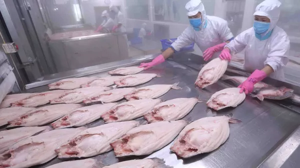  Thị trường EU hiện đang là thị trường xuất khẩu thủy sản đứng thứ hai của Việt Nam, chiếm trọng 17% tổng giá trị xuất khẩu thủy sản. 
