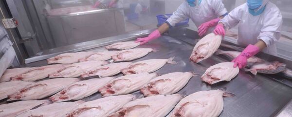  Thị trường EU hiện đang là thị trường xuất khẩu thủy sản đứng thứ hai của Việt Nam, chiếm trọng 17% tổng giá trị xuất khẩu thủy sản.  - Sputnik Việt Nam