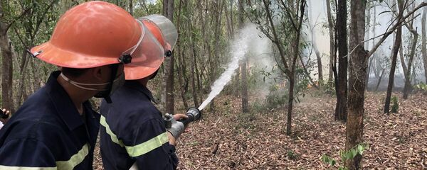  Lực lượng Cảnh sát Phòng cháy, chữa cháy và cứu hộ, cứu nạn Công an tỉnh Quảng Nam đang dập lửa. - Sputnik Việt Nam