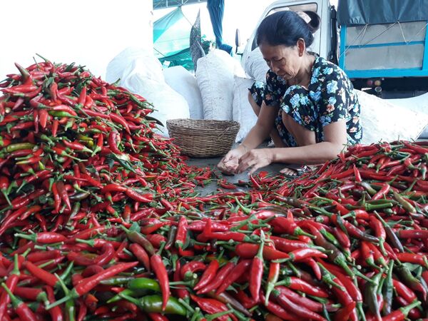 Việt Nam ở ngã ba đường Việt Nam ở ngã ba đường - Sputnik Việt Nam