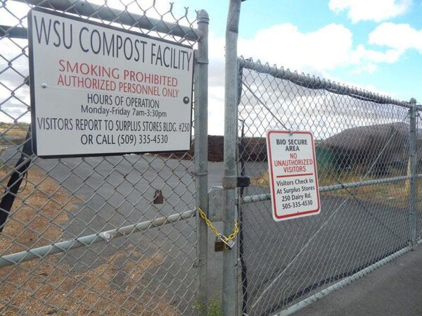 Nghĩa trang được thừa nhận là không hiệu quả. Các nhà khoa học tiếp quản dịch vụ tang lễ - Sputnik Việt Nam