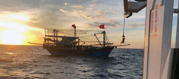 Các tàu cá phối hợp tìm kiếm cứu nạn.  - Sputnik Việt Nam