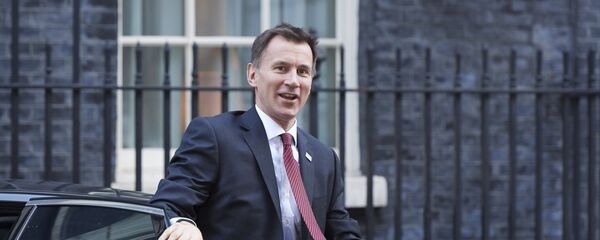 Ngoại trưởng Anh Jeremy Hunt Ngoại trưởng Anh Jeremy Hunt - Sputnik Việt Nam